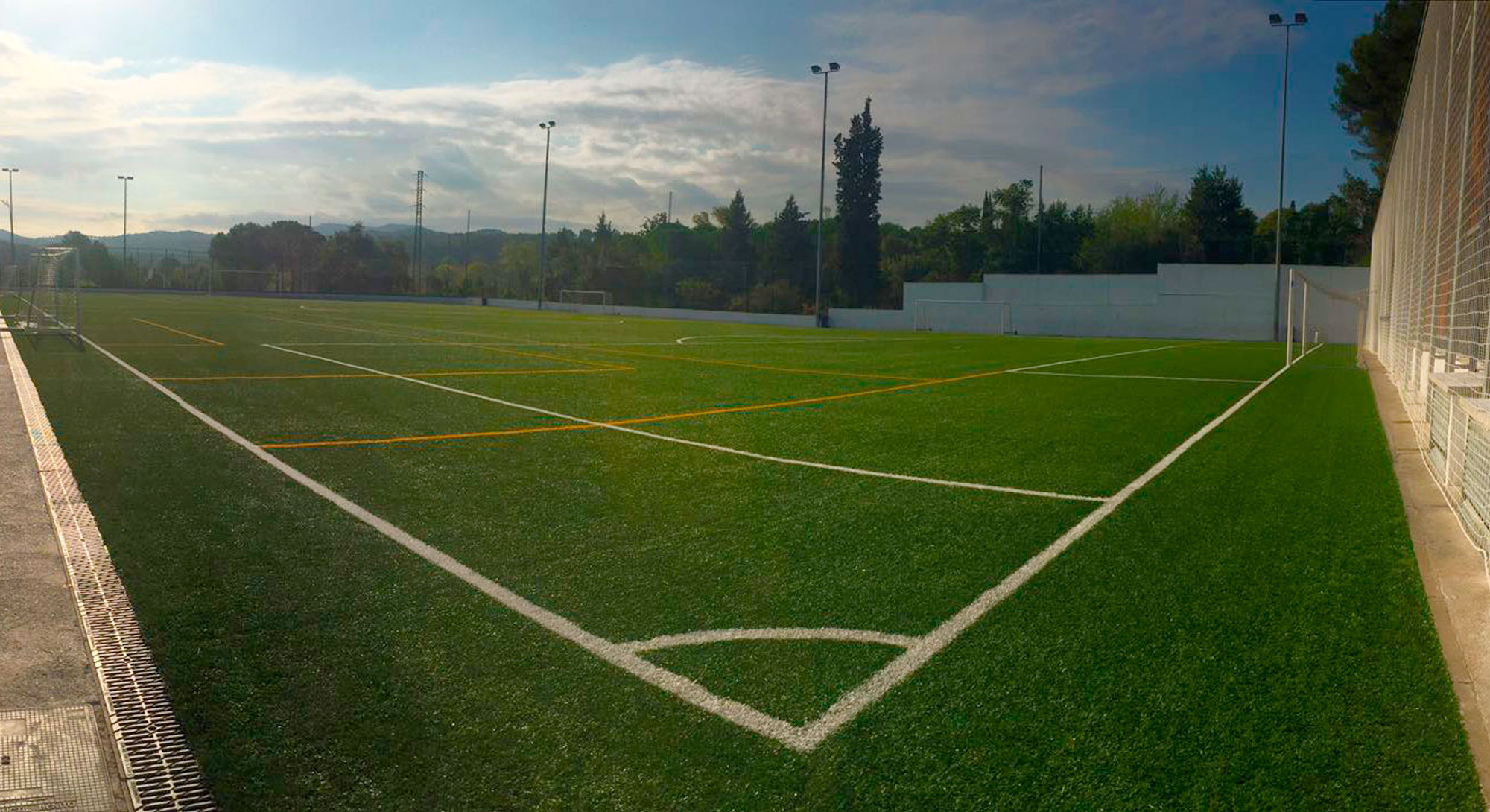 training-field